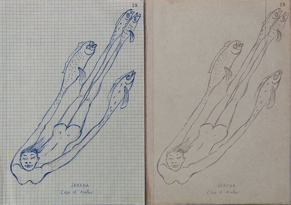 Cat.1171, Serena, 1990