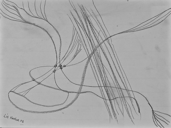 0113, Untitled, 2008