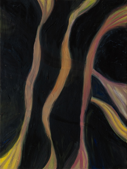 Lis Kocher: 0015 (*), Untitled, 2008, H.40 x 30 cm. © Paccart Photography