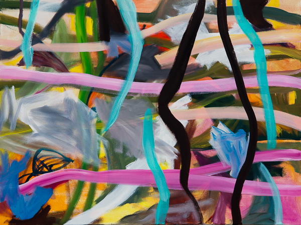 Lis Kocher: 0311 (*), Untitled, 2009, H.60 x 80 cm. © Paccart Photography