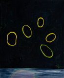 Lis Kocher: 0014 (*), Untitled, 2008, H.40 x 33 cm. © Paccart Photography