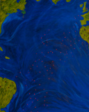 Lis Kocher: 0370 (*), Atlántico, 1993, H.130 x 162 cm. © Paccart Photography